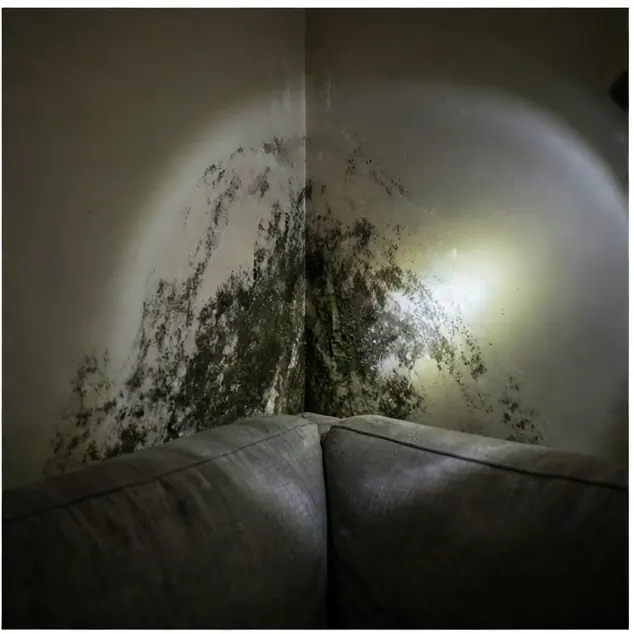 Mold spreading across a damp wall corner behind a sofa